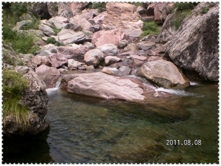 SANY5537.JPG