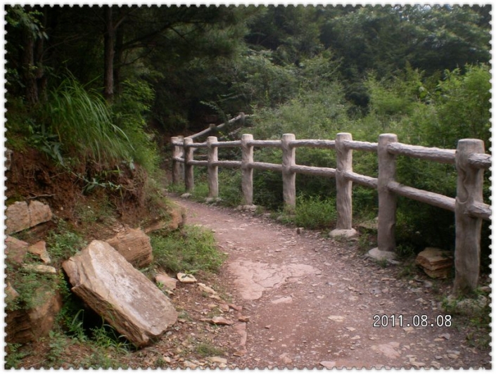 SANY5780.JPG
