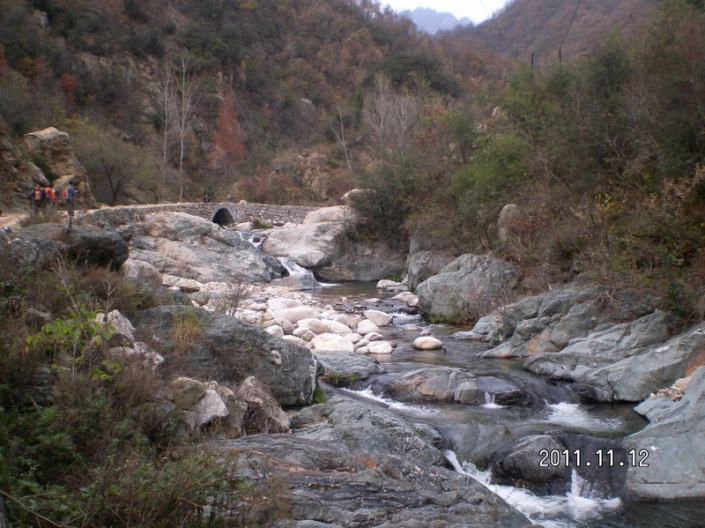 SANY8796.JPG