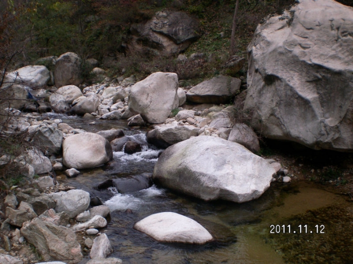 SANY8865.JPG
