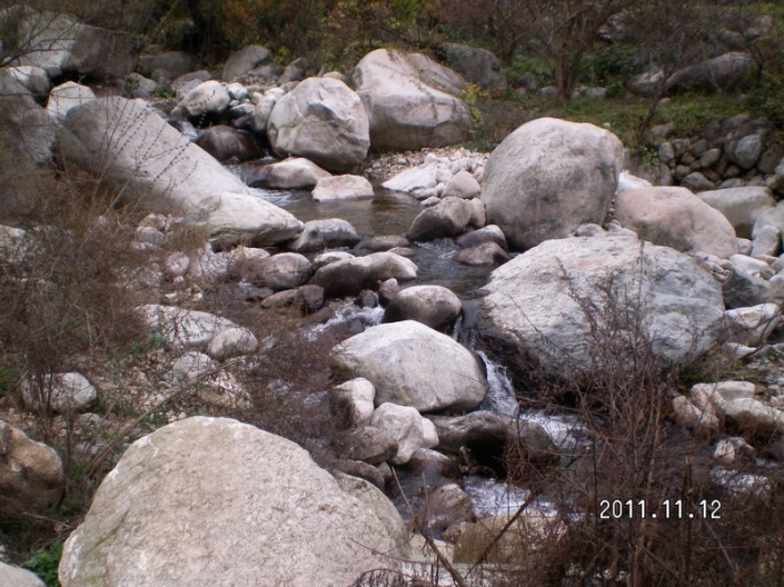 SANY8864.JPG